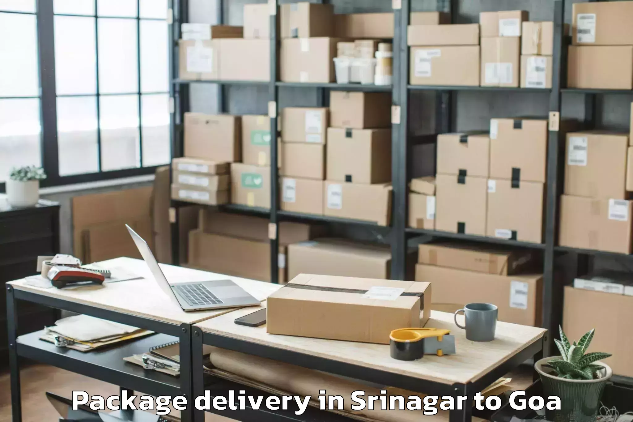 Affordable Srinagar to Colva Package Delivery